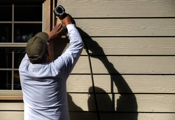 Best Brick Veneer Siding  in Kenova, WV