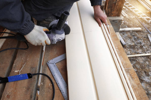 Best Vinyl Siding Installation  in Kenova, WV